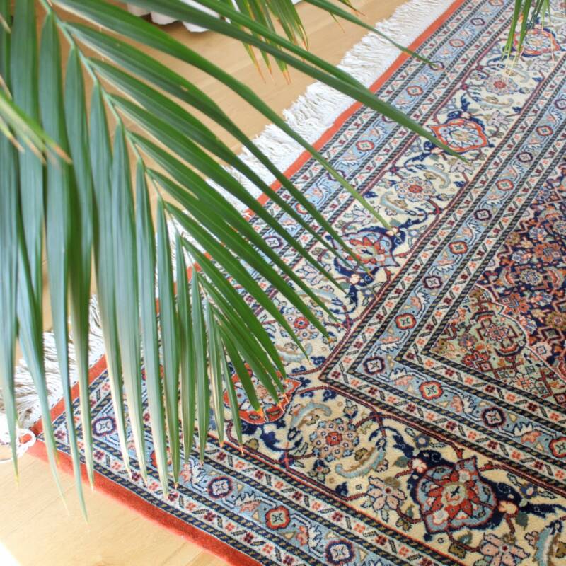 Perzisch tapijt rood/meerkleurig (350 x 250 cm) XL