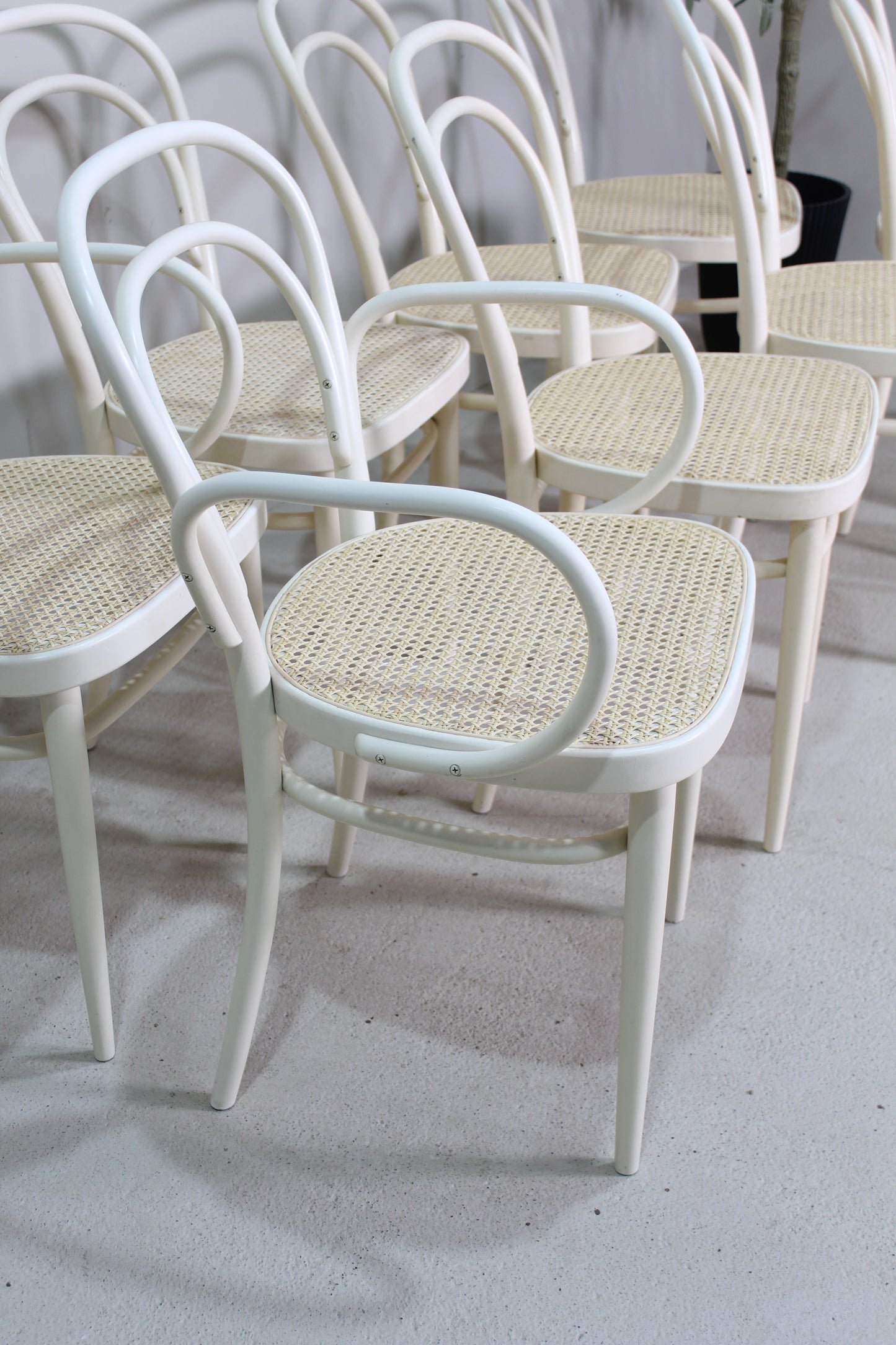 8x vintage design Thonet stoelen webbing