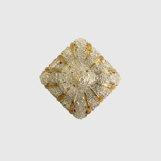 Vintage ceiling lamp, wall lamp Richard Essig | 00745